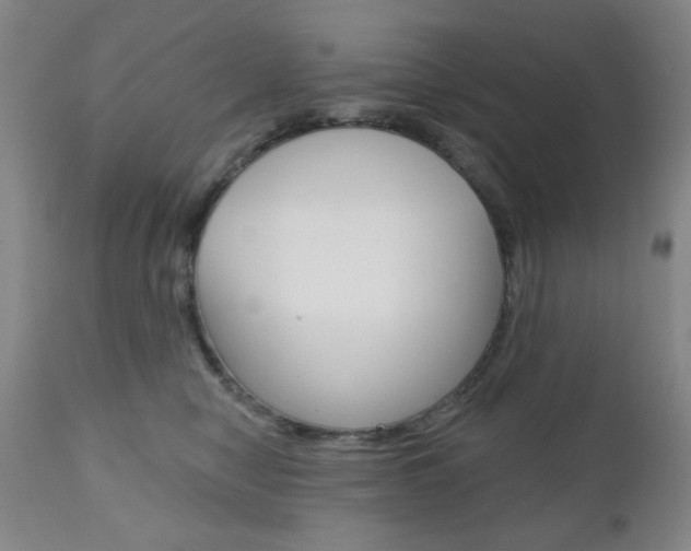 X0000111000470200906191148