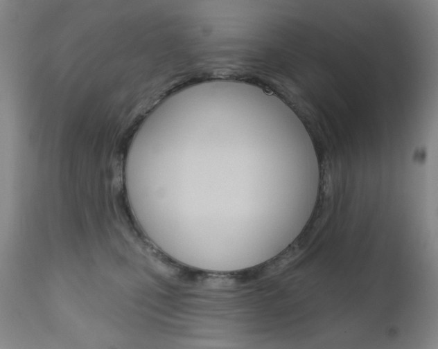 X0000111000471200906191148