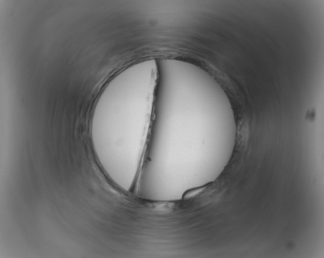 X0000111000474200906191148