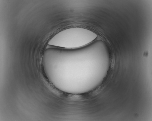 X0000111000476200906191148
