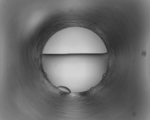 X0000111000477200906191148