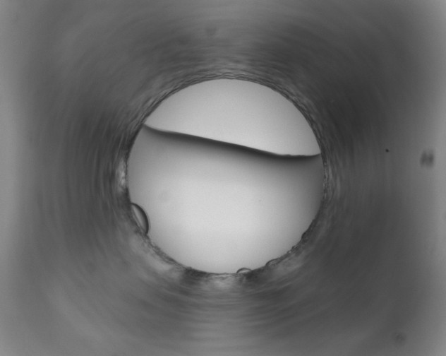 X0000111000479200906191148