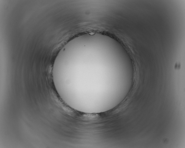 X0000111000480200906191148