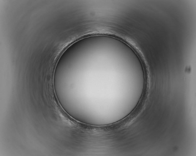 X0000111000481200906191147