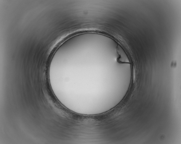 X0000111000483200906191147