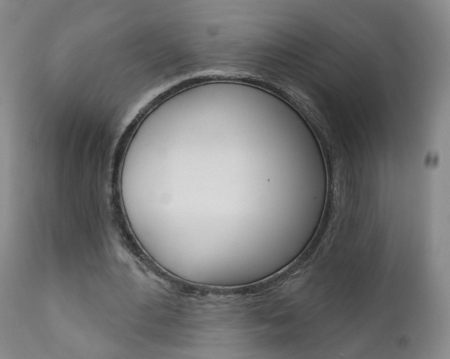 X0000111000484200906191147
