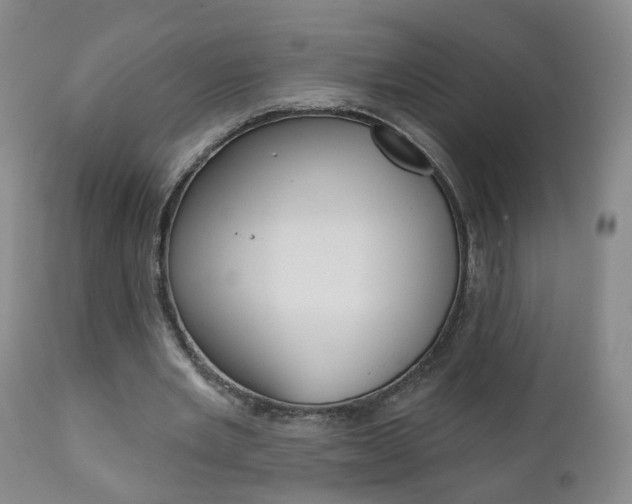 X0000111000485200906191147