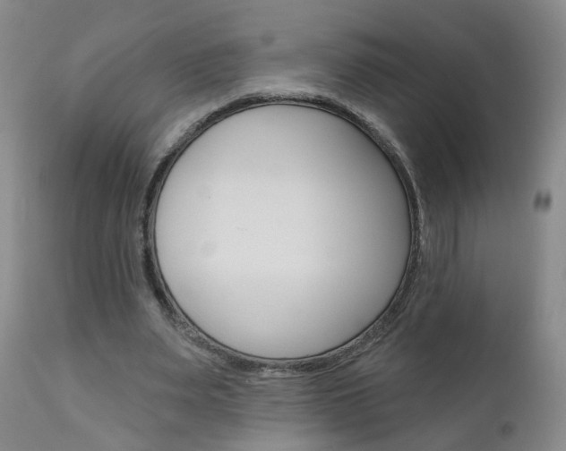 X0000111000487200906191147