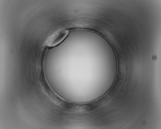 X0000111000488200906191147
