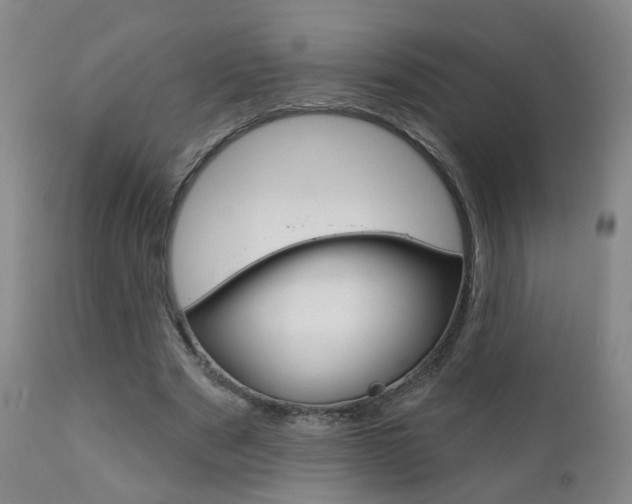 X0000111000489200906191147