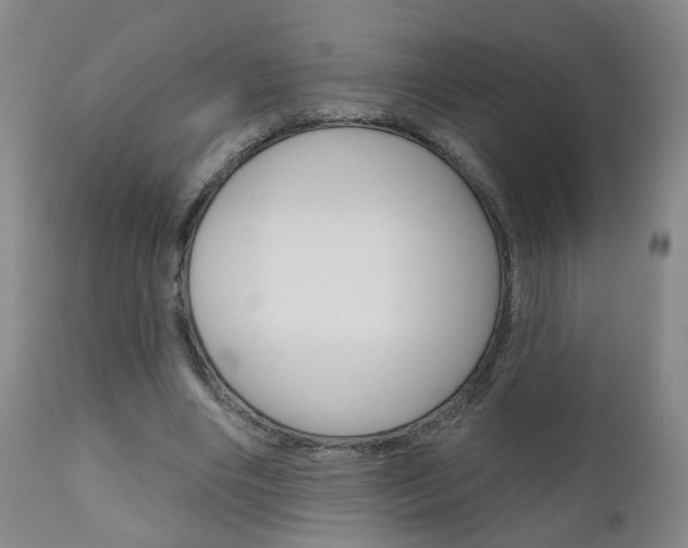 X0000111000490200906191147