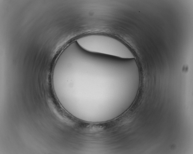 X0000111000491200906191147