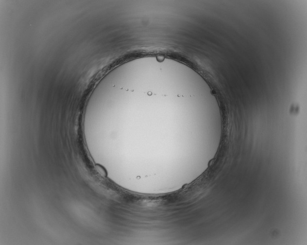 X0000111000495200906191147