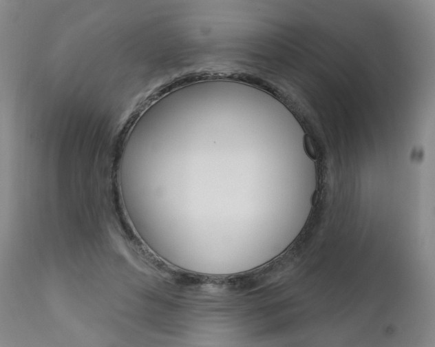 X0000111000496200906191147