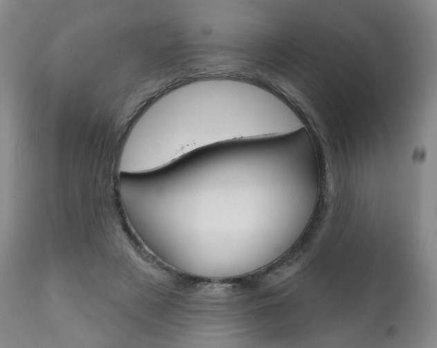 X0000111000497200906191147