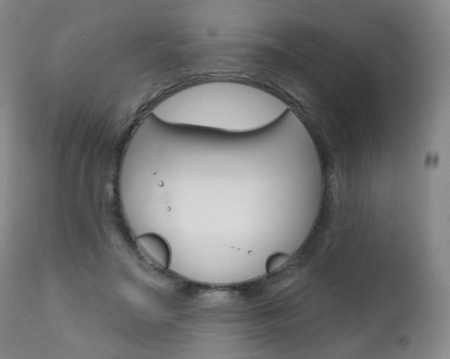 X0000111000499200906191147