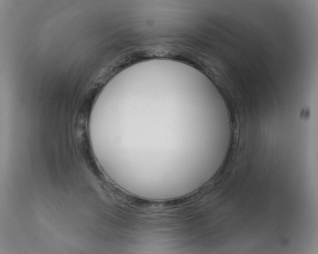X0000111000503200906191147