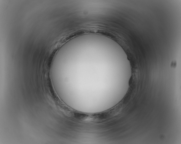 X0000111000504200906191147