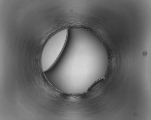 X0000111000508200906191147