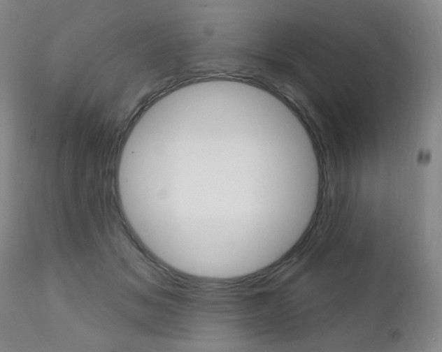 X0000111000509200906191147