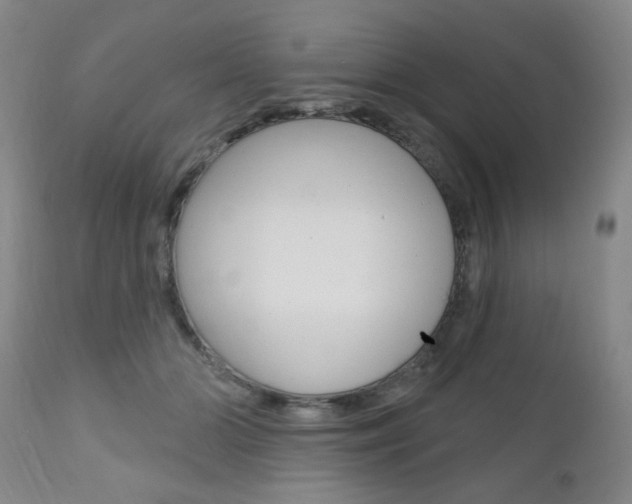 X0000111000510200906191147