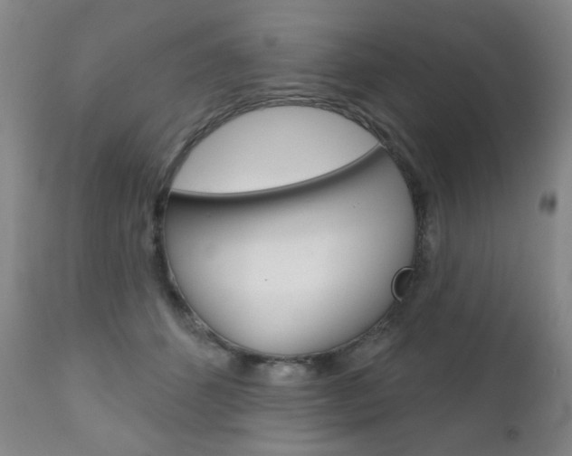 X0000111000512200906191147