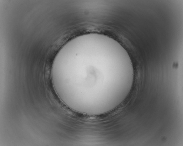 X0000111000513200906191147
