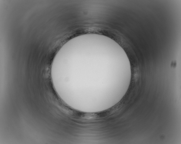 X0000111000514200906191147