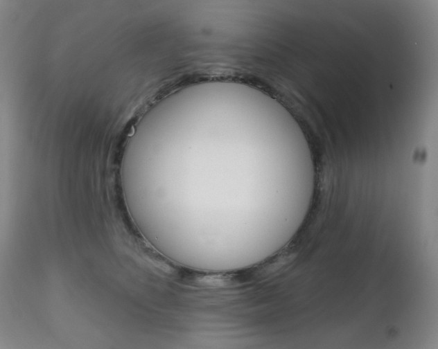 X0000111000516200906191147