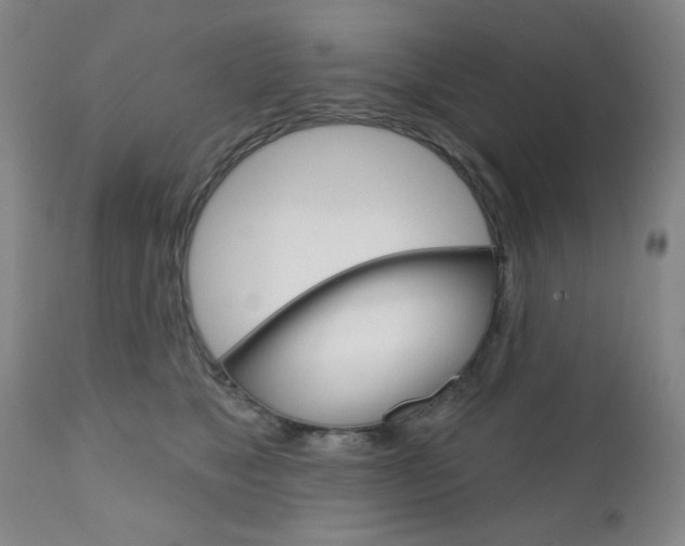 X0000111000517200906191147