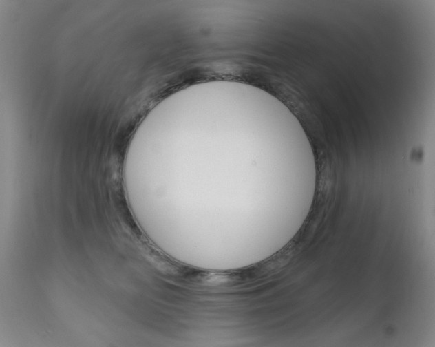 X0000111000518200906191147