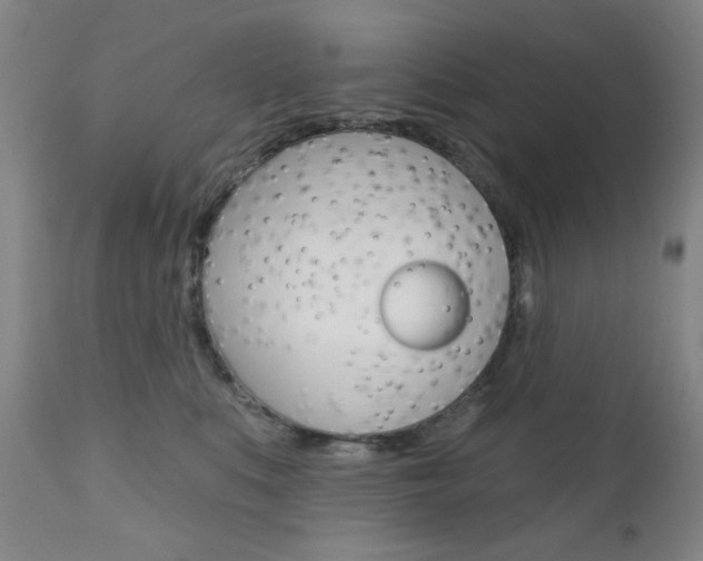 X0000111000519200906191147