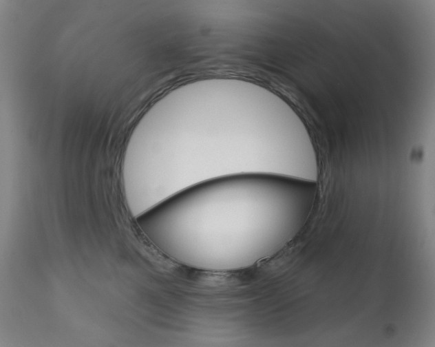 X0000111000521200906191147