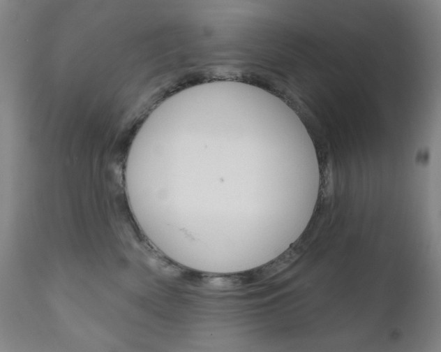 X0000111000522200906191146