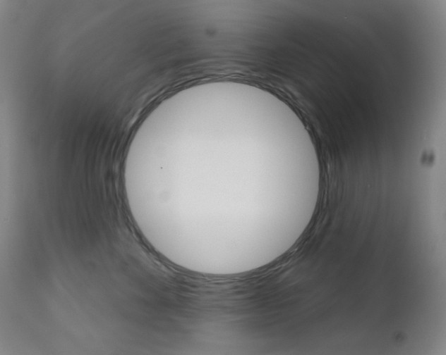 X0000111000524200906191146