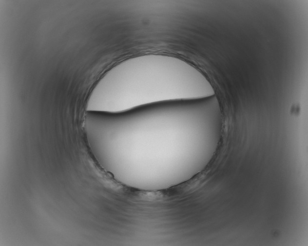 X0000111000525200906191146