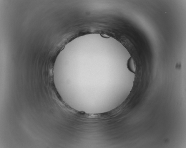 X0000111000527200906191146