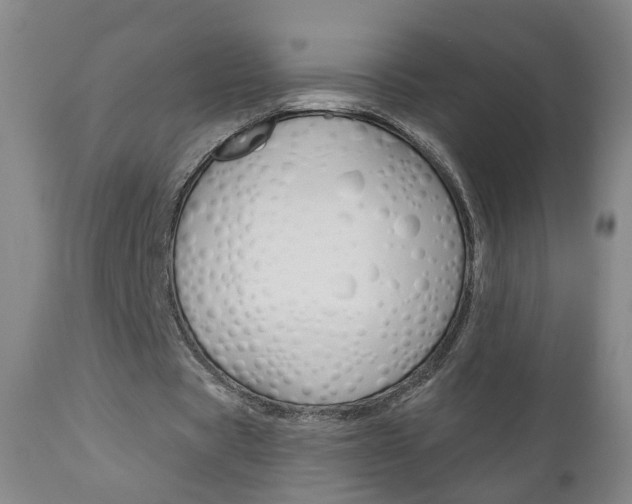 X0000111000529200906191146