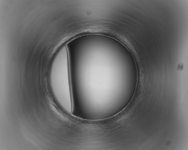 X0000111000530200906191146