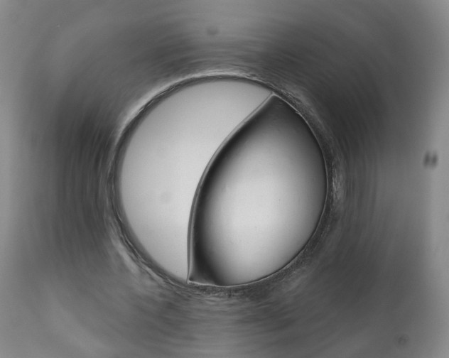 X0000111000532200906191146