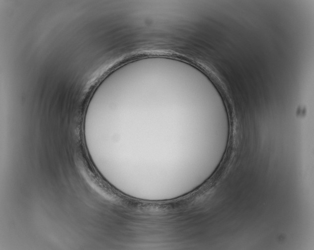 X0000111000533200906191146