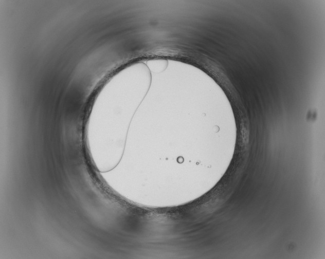 X0000111000534200906191146