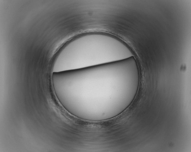 X0000111000535200906191146