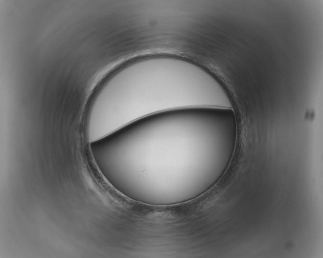 X0000111000536200906191146