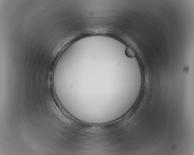 X0000111000537200906191146