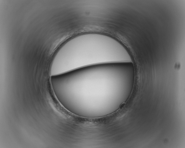 X0000111000538200906191146