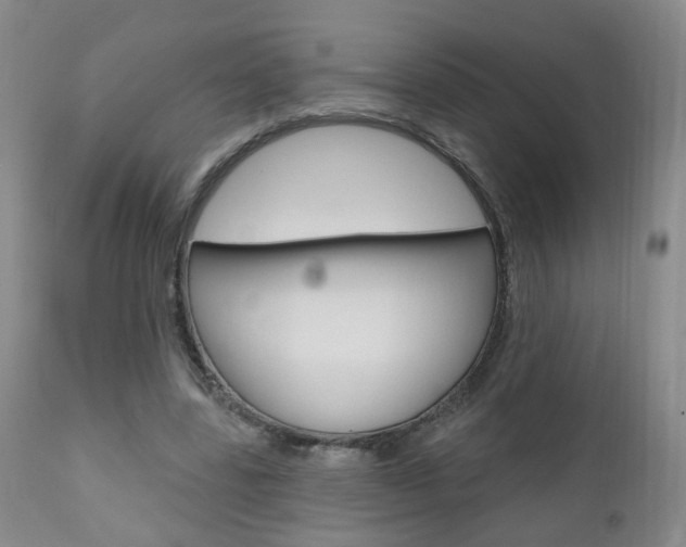 X0000111000539200906191146