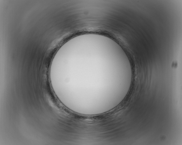 X0000111000542200906191146