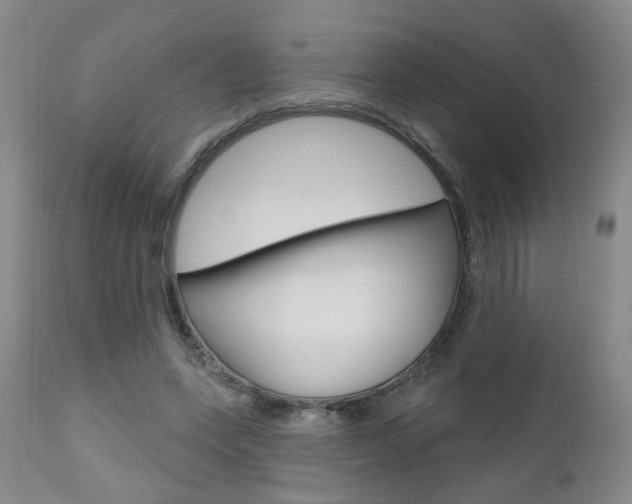 X0000111000543200906191146