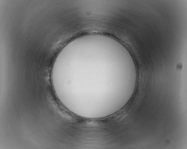 X0000111000545200906191146
